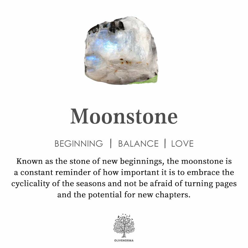 Olivenorma Moonstone Wolf Bracelet - image 3