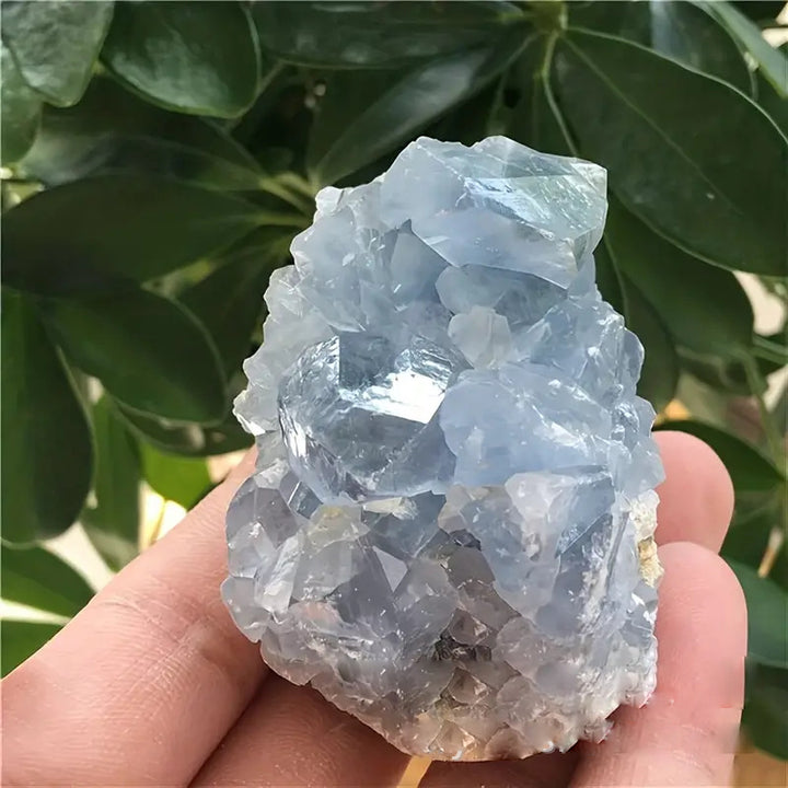 Olivenorma Irregular Natural Celestine Crystal Cluster Natural Stone