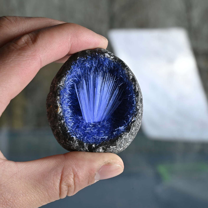 Olivenorma Blue Hair Ore Cluster Needle Egg Gemstone Decoration