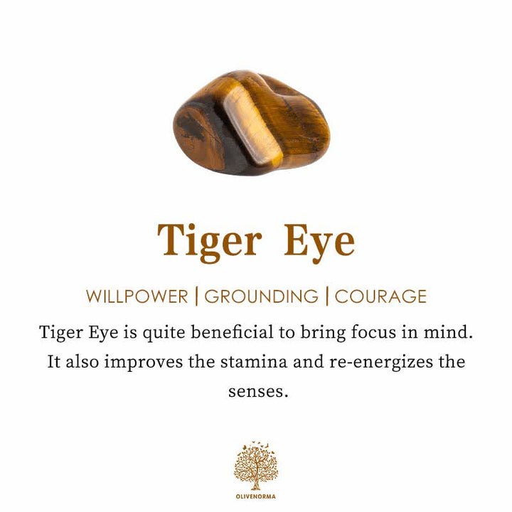 FREE Today: The Power of the Lion Tiger Eye Bracelet - image 19