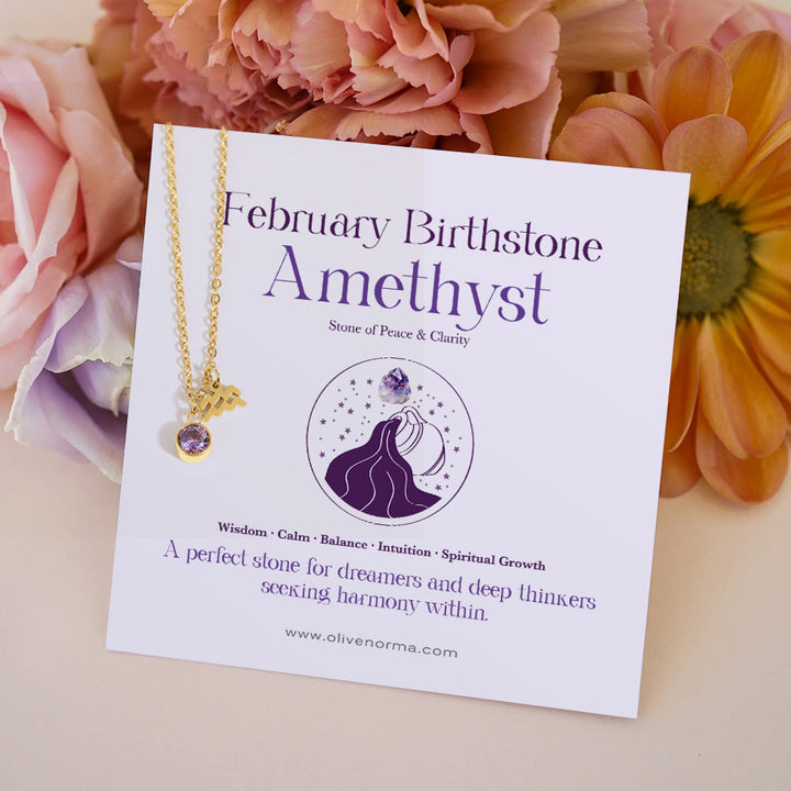 Olivenorma Zodiac Rune Birthstone Stainless Steel Gift Card Necklace - February/Aquarius&Amethyst - With Zodiac Card - image 2
