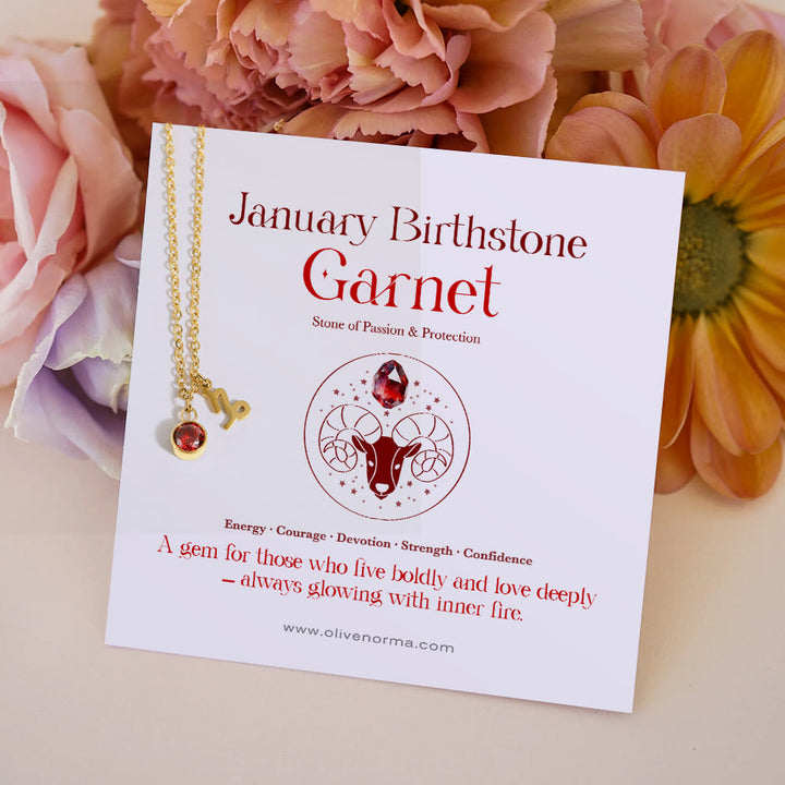 Olivenorma Zodiac Rune Birthstone Stainless Steel Gift Card Necklace - January/Capricorn& - With Zodiac Card - image 1