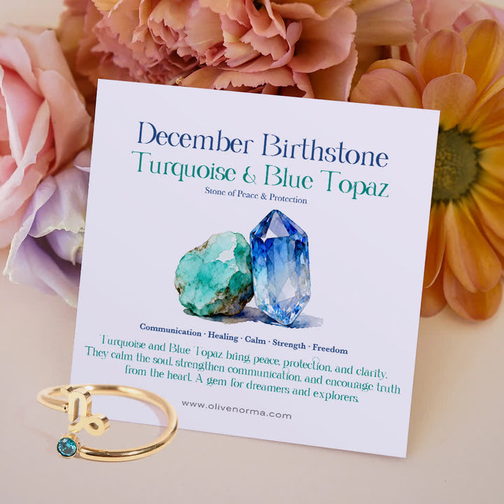 FREE Today: Zodiac Birthstone Gift Card Ring - December/Capricorn - Aquamarine - With Birthstone Card - image 22