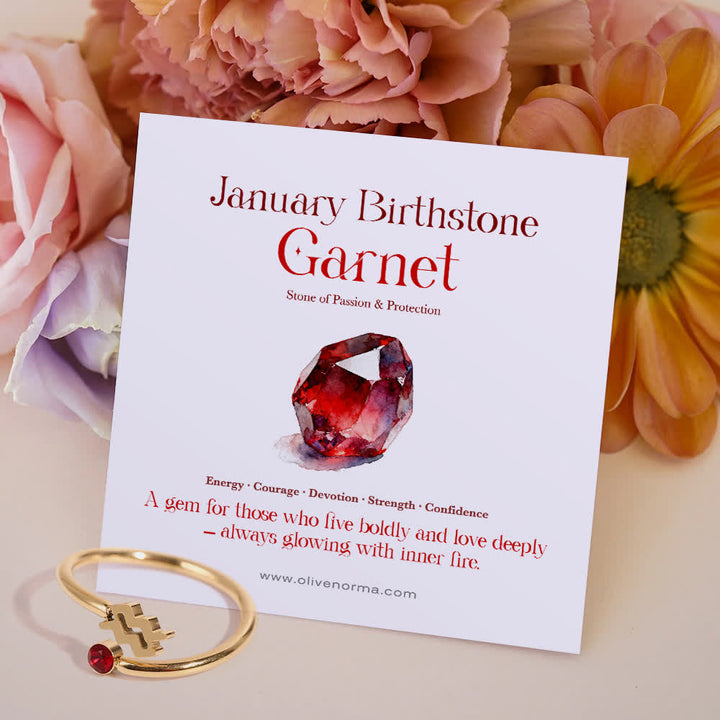 Olivenorma Zodiac Birthstone Gift Card Ring - January/Aquarius - Garnet - With Birthstone Card - image 5