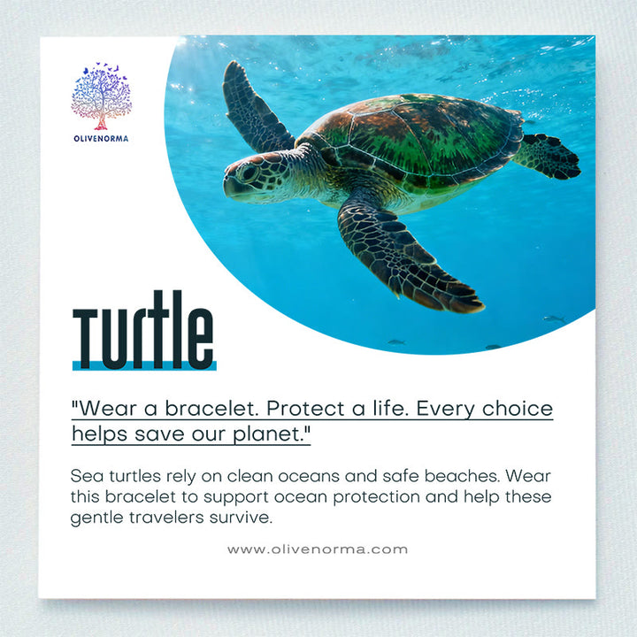 Olivenorma Sea Turtle Protection Bracelet with Card - image 1
