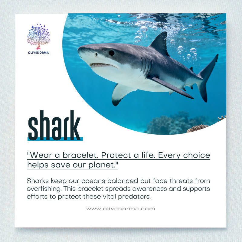 Olivenorma Shark Protection Bracelet with Card - image 1
