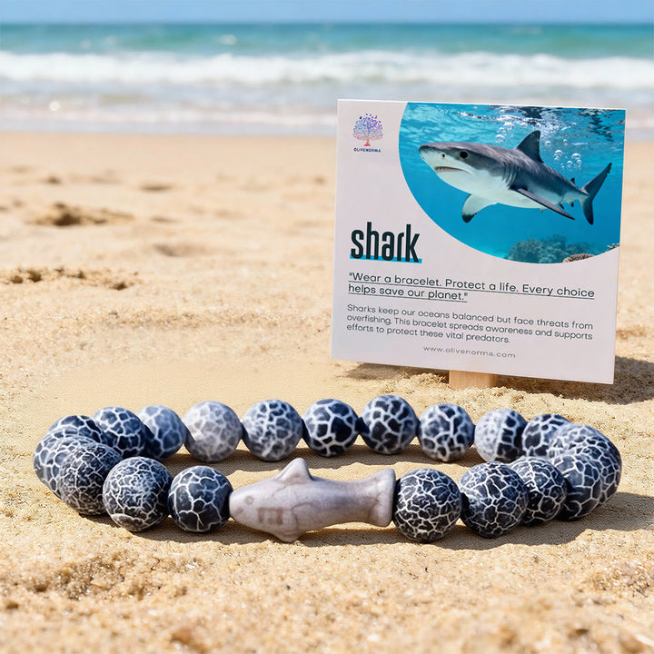 Olivenorma Shark Protection Bracelet with Card - image 0