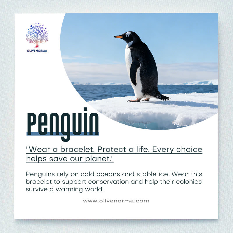 Olivenorma Penguin Habitat Protection Bracelet with Card - image 1