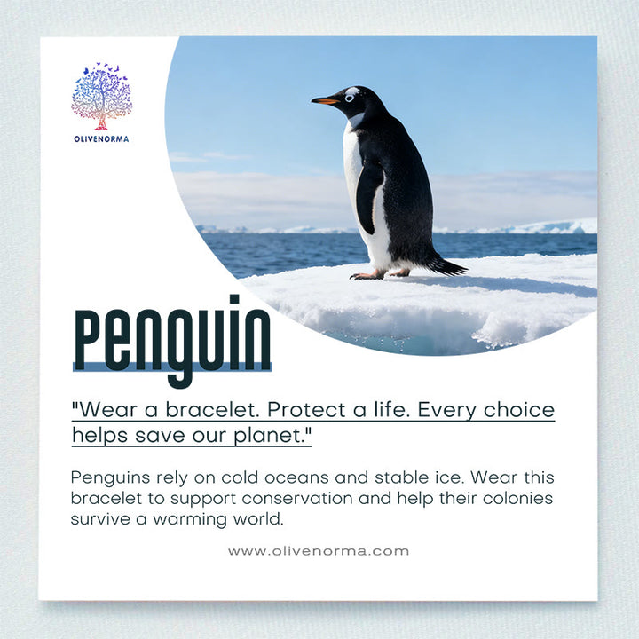 Olivenorma Penguin Habitat Protection Bracelet with Card - image 1