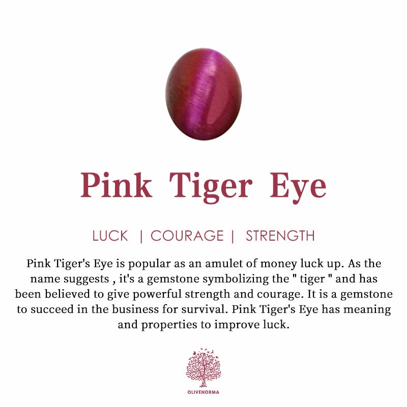 Olivenorma Penguin Habitat Protection Bracelet with Card - image 14