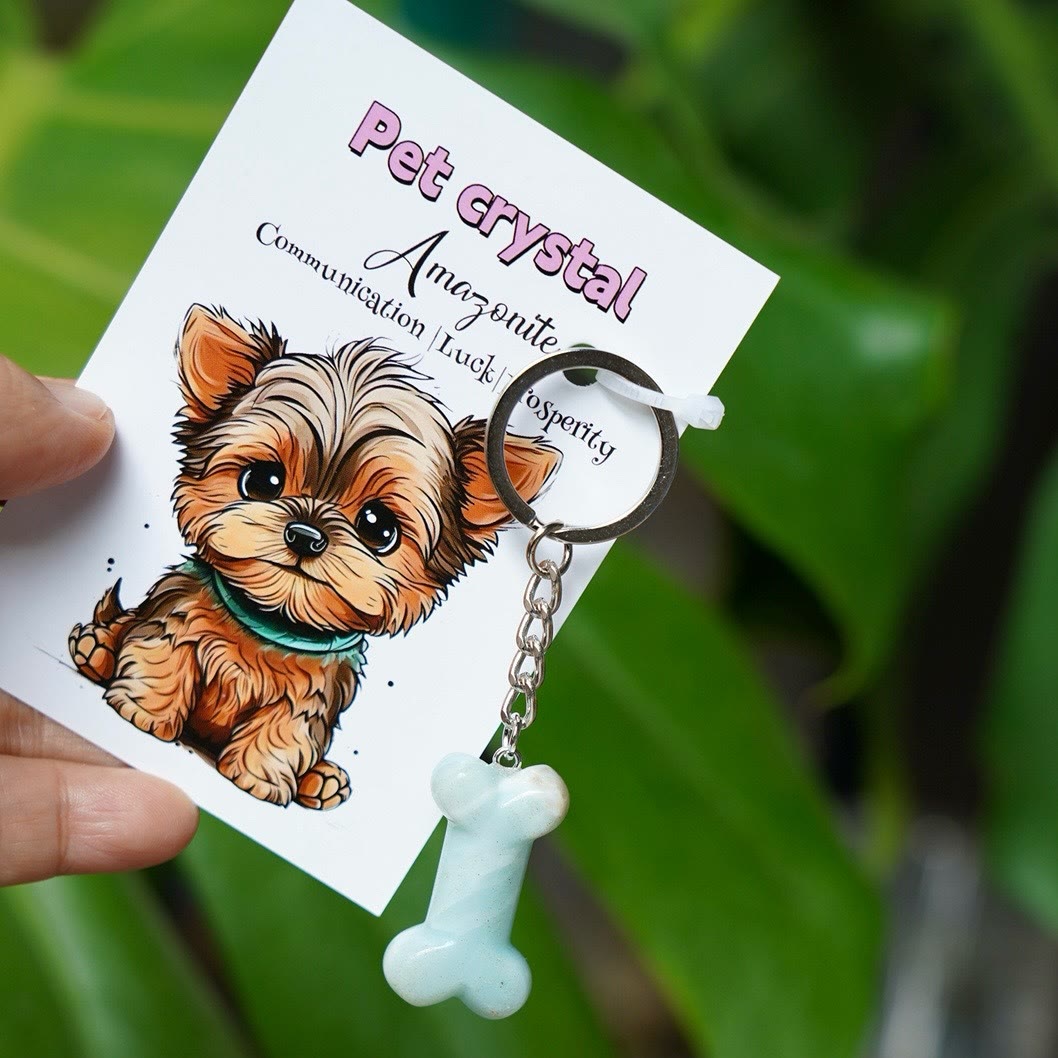 Olivenorma Natural Stone Dog Bone Shaped Keychain - Amazonite - image 17