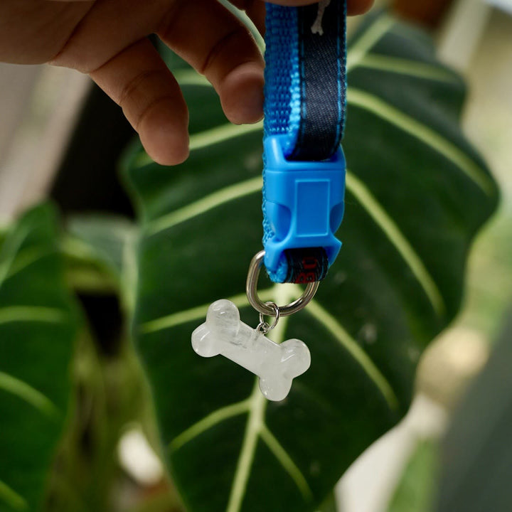 Olivenorma Natural Stone Dog Bone Charming Pet Collar - Clear Quartz - image 4