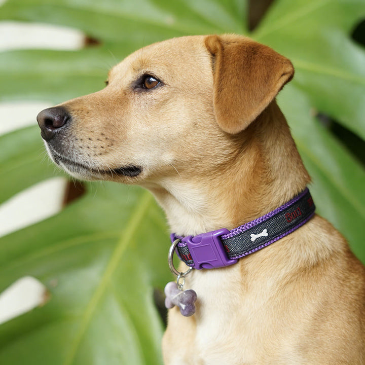 Olivenorma Natural Stone Dog Bone Charming Pet Collar - image 0