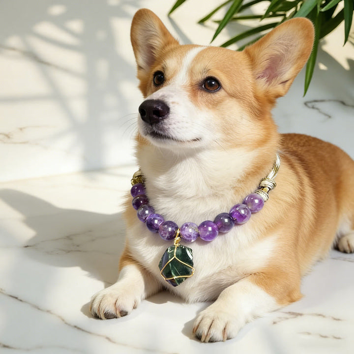 Olivenorma Amethyst&Obsidian Calming Meditation Crystal Pet Collar - image 0