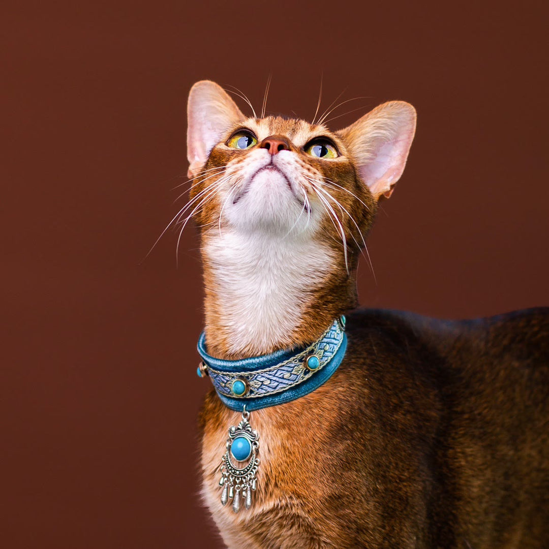 Olivenorma Cute Kitten Healing Turquoise Velvet Pet Collar - Turquoise - L (24cm) - image 0