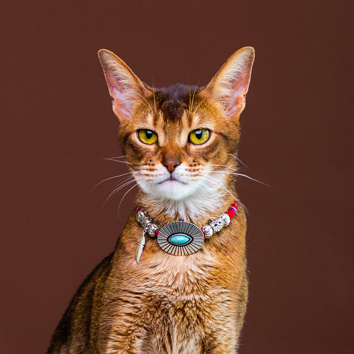 Olivenorma Cute Kitten Healing Crystal Ethnic Style Pet Collar - Turquoise - L(35cm) - image 0