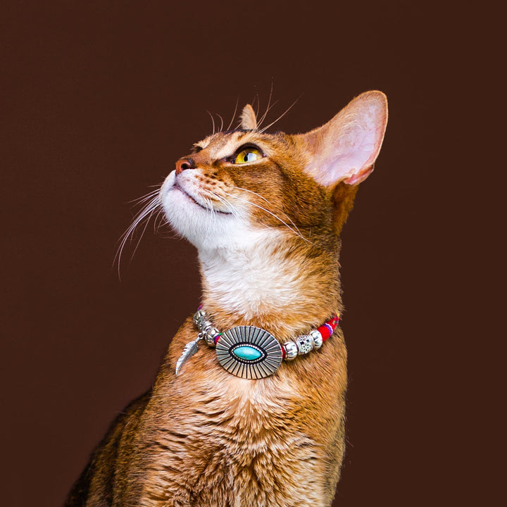 Olivenorma Cute Kitten Healing Crystal Ethnic Style Pet Collar - image 1