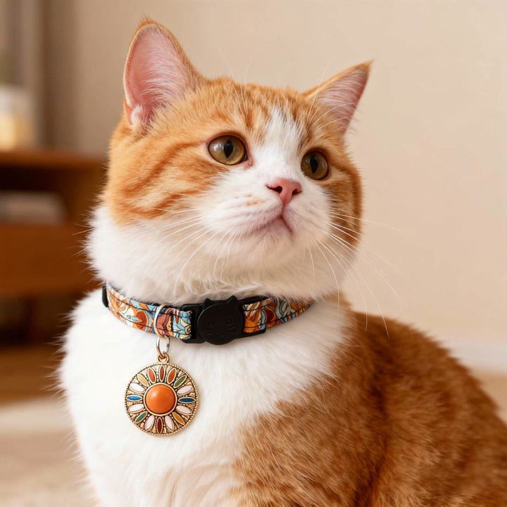 FREE Today: Sun Charm Rescue Cat Collar – Helping Stray Cats Shine Brighter Every Day - image 0
