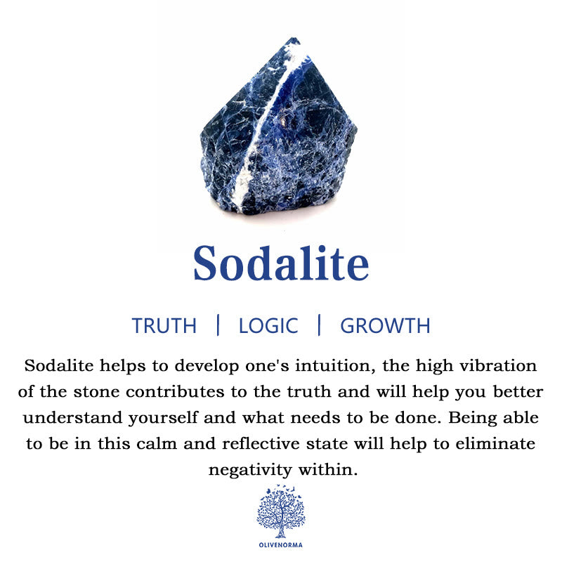 Olivenorma Sodalite&Howlite Beaded Bracelet - image 5