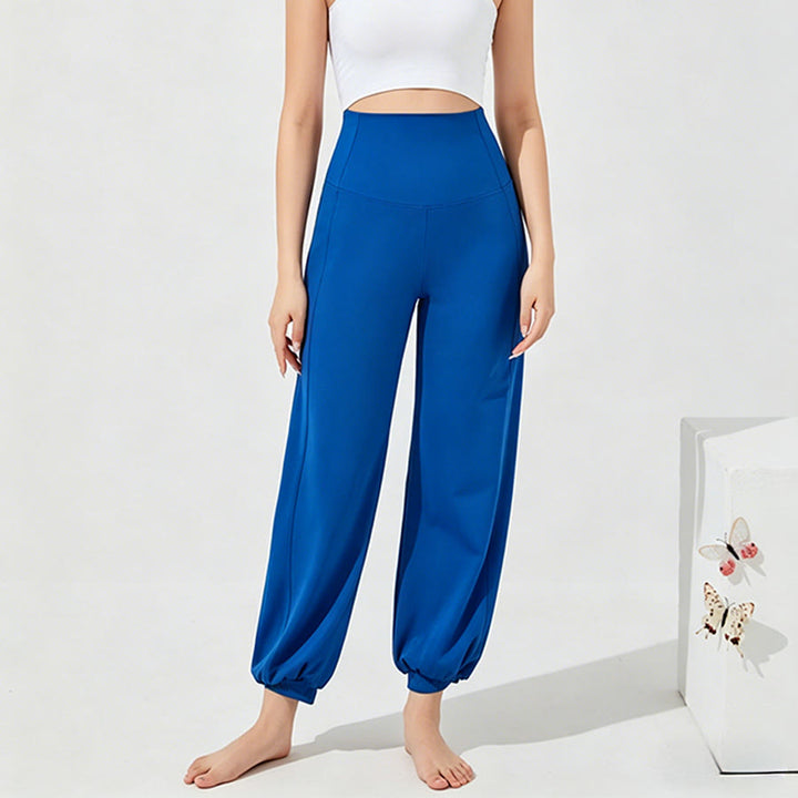 Olivenorma High Waist Ankle Length Harem Loose Yoga Women's Pants - Bright Blue - XL - image 13