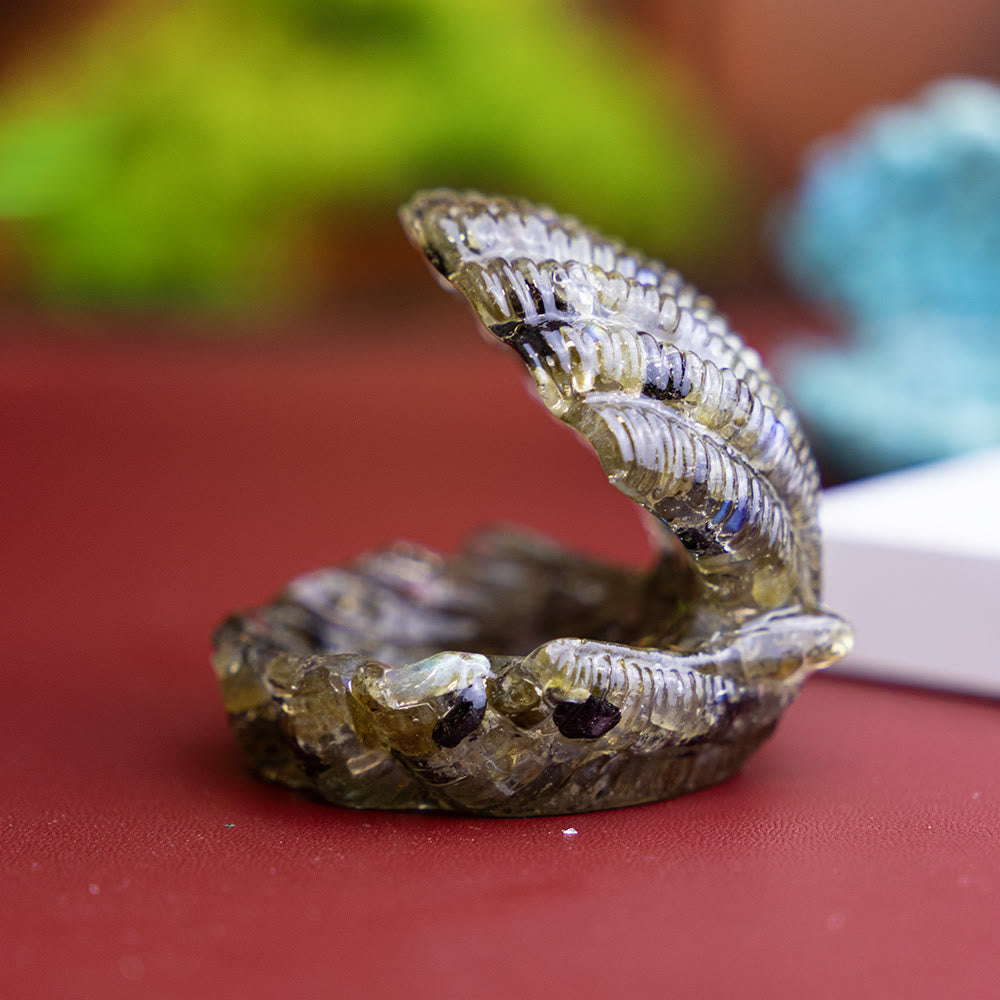 Olivenorma Resin-Filled Natural Crystal Seashell Desktop Ornament Decoration - Labradorite - image 23