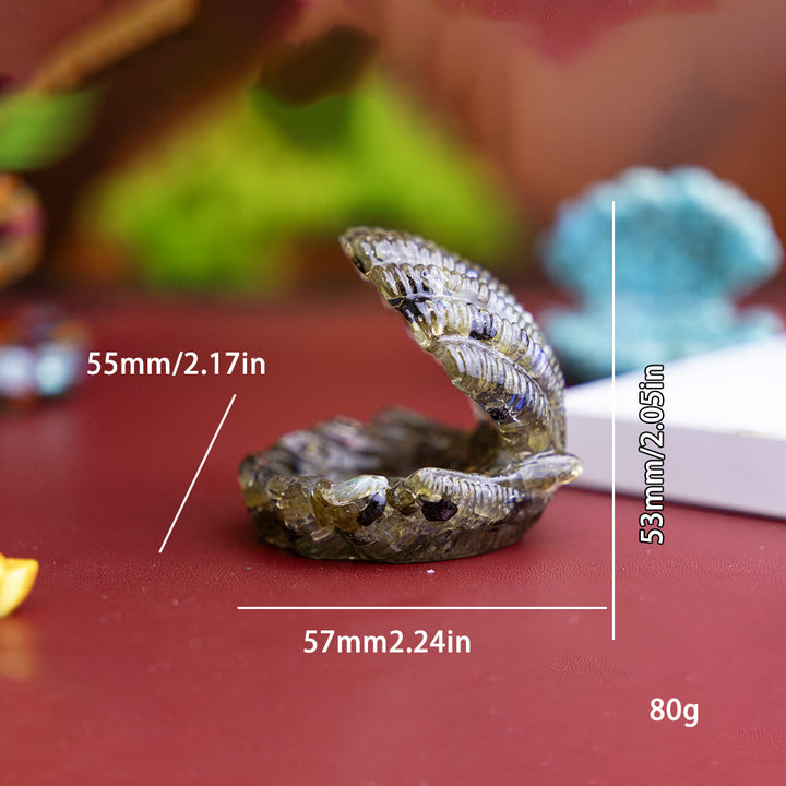 FREE Today: Resin-Filled Natural Crystal Seashell Desktop Ornament Decoration - image 38