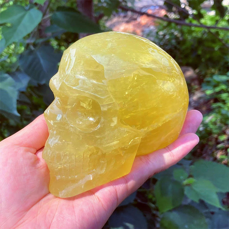 Olivenorma 10cm Natural Citrine Gemstone Decoration Crystal Skull