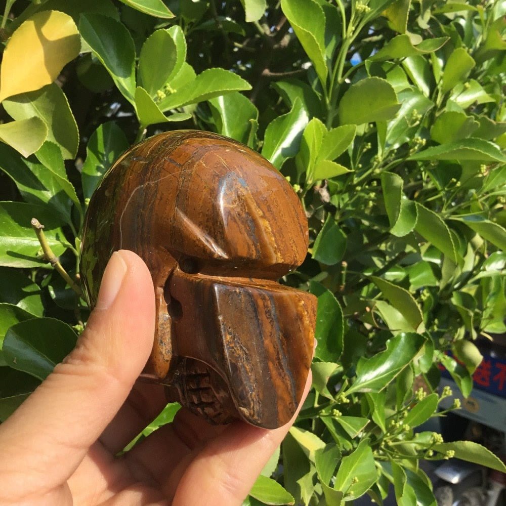 Olivenorma Tiger Eye Stone Crystal Skull Decoration