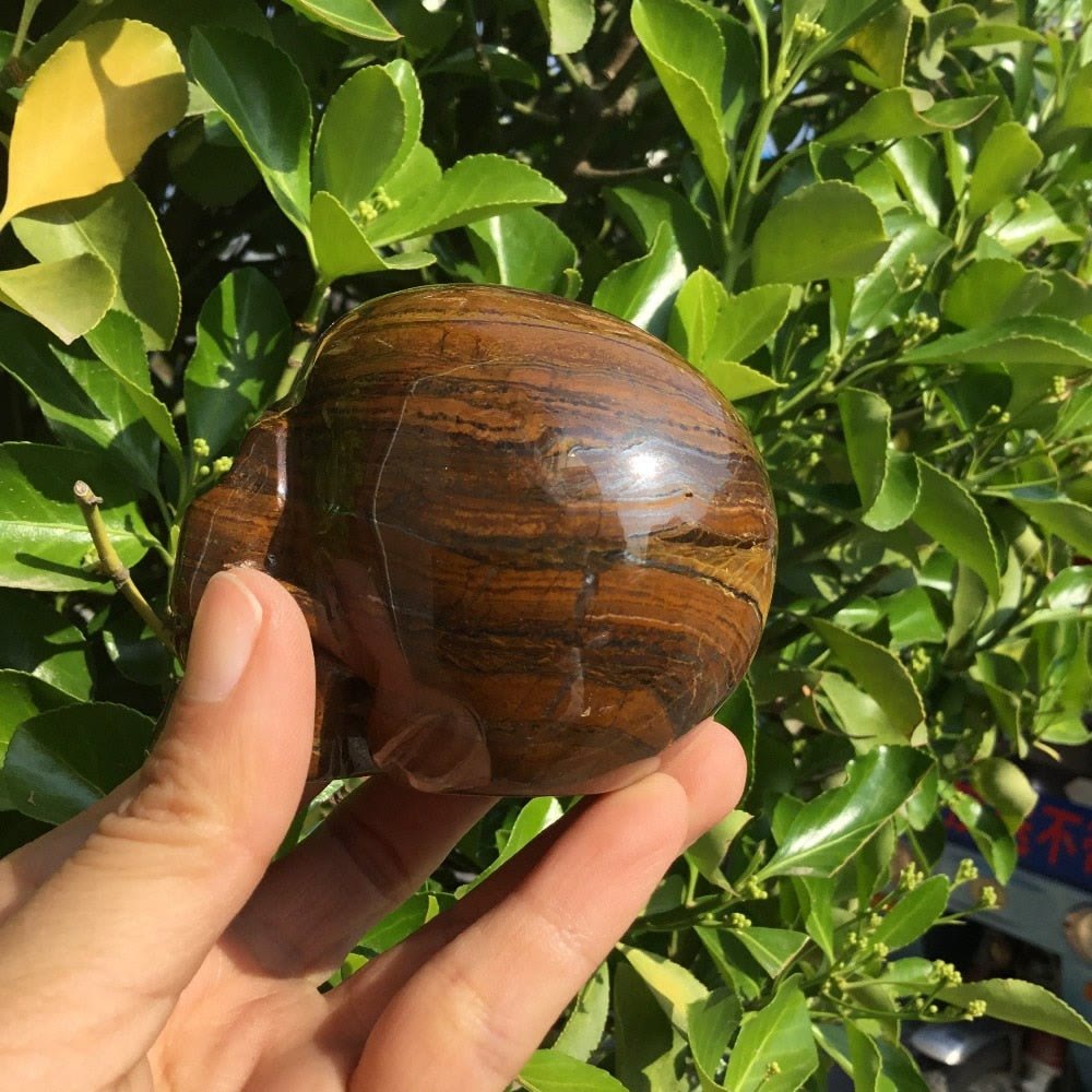 Olivenorma Tiger Eye Stone Crystal Skull Decoration